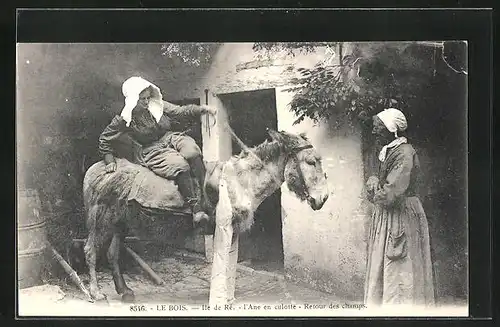 AK Le Bois /Ile de Ré, L`Ane en culotte, Retour des champs