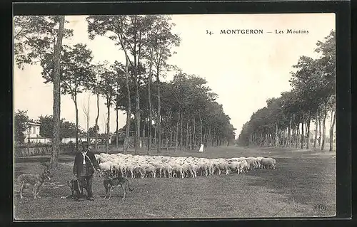 AK Montgeron, Les Moutons