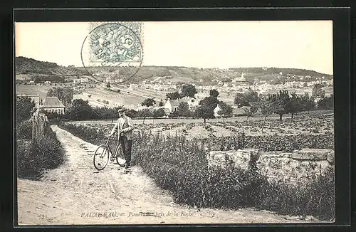 AK Palaiseau, Panorama pris de la Roche