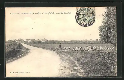 AK Vert-le-Petit, Vue generale, Route du Bouchet