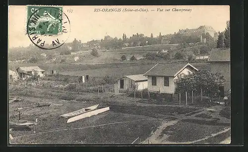 AK Ris-Orangis, Seine et Oisc, Vue sur Champrosay, Chateau