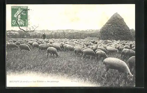 AK Brunoy S. et O., Les Vallees, Au Paturage