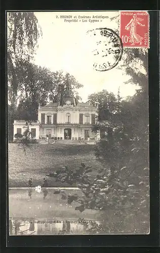 AK Brunoy, Environs Artistiques Propriete, Les Cygnes