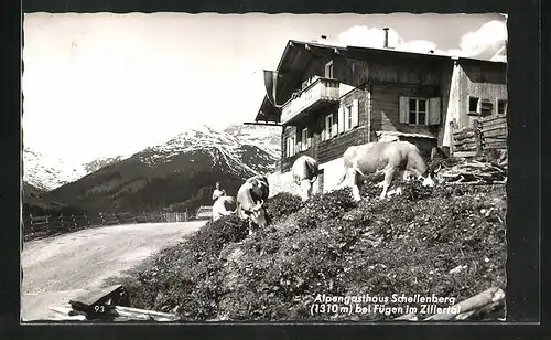 AK Fügen im Zillertal, am Alpengasthaus Schellenberg