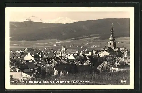 AK Baden, Blick vom Badnerberg beim Rudolfshof gegen Schneeberg