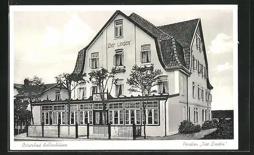 AK Kellenhusen, die Pension Vier Linden mit Blick auf die Ostsee