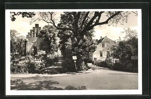 AK Cismar in Holstein, in den Anlagen am Landesjugendheim