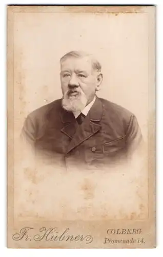 Fotografie Fr. Hübner, Colberg, Promenade 14, Portrait stattlicher Herr mit grauem Haar und Vollbart