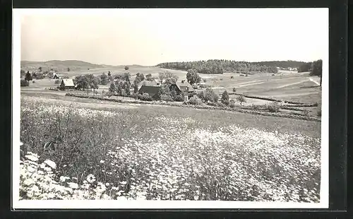 AK Taubenheim, Panoramablick von der Blumenwiese
