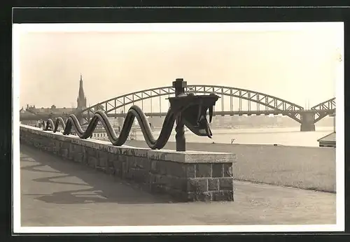 AK Düsseldorf, an der Rheinschlange