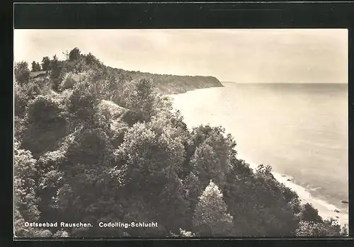 AK Rauschen, Codolling-Schlucht