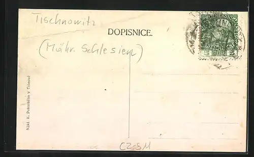 AK Tisnov, Celkový pohled