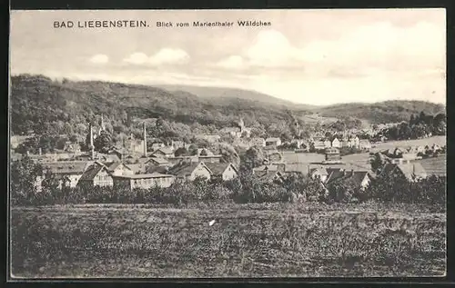 AK Liebenstein, Ortspartie, Blick vom Marienthaler Wäldchen