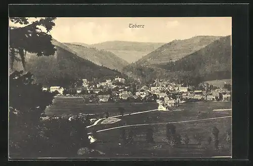 AK Tabarz, Ortsansicht mit Berglandschaft