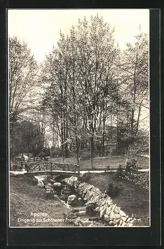 AK Apolda, Eingang zur Schötener Promenade