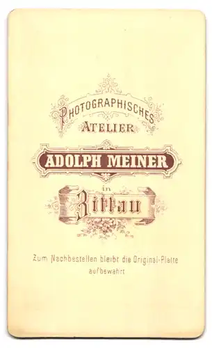 Fotografie Adolph Meiner, Zittau, Bürgerliche Dame in modischer Kleidung