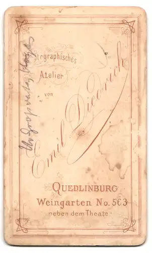 Fotografie Emil Diedrich, Quedlinburg, Weingarten 563, Älterer Herr im Anzug mit Vollbart