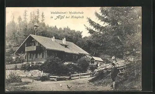 AK Alpl b. Kriegslach, Waldheimat, Waldschule
