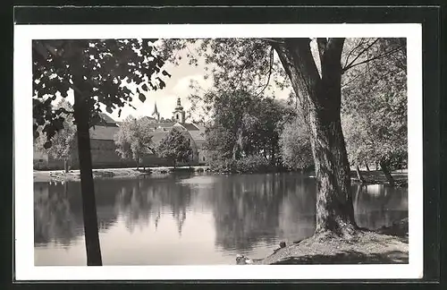 AK Mirotice, Partie na Lomnici