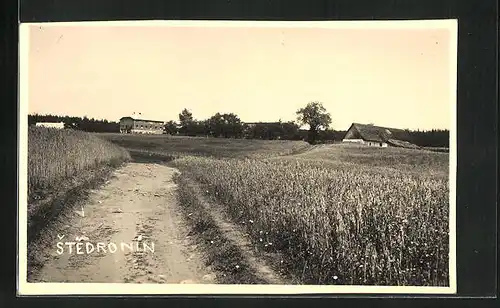 AK Stedronin, Panorama