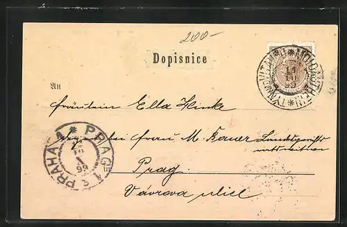 AK Protivin, Panorama