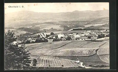 AK Oberhaid i. B., Ortsansicht mit Feldern