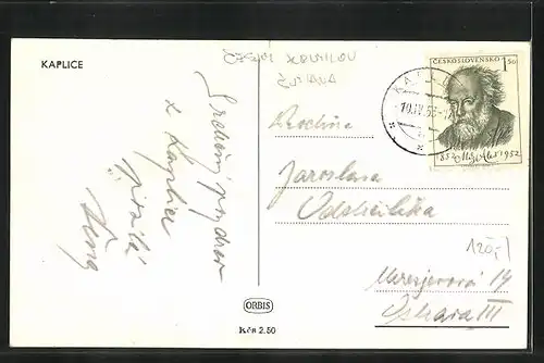 AK Kaplice, Panorama