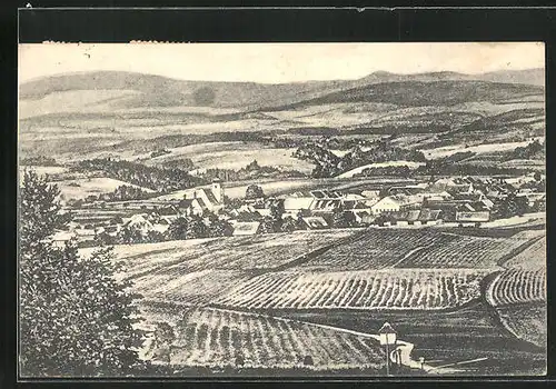 AK Horni Dvoriste, Panorama