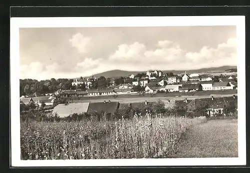 AK Protivin, Panorama