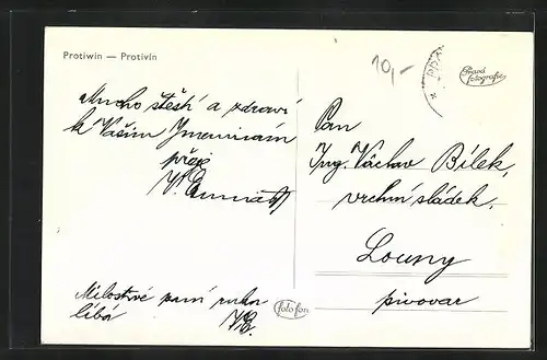 AK Protivin, Panorama