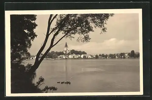 AK Pisek, Panorama