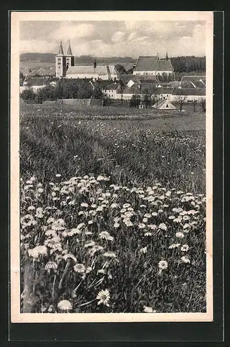 AK Mühlhausen, Ortsansicht mit Kloster und Wiese