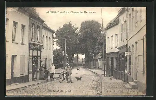 AK Ardres, L`Avenue des Marronniers