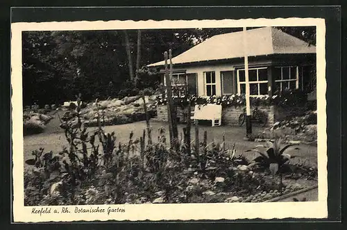 AK Krefeld a. Rh., Blick in den Botanischen Garten