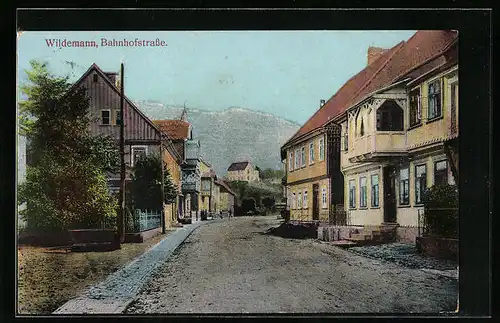 AK Wildemann, Bahnhofstrasse mit Bäumen