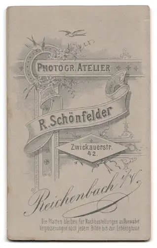 Fotografie R. Schönfelder, Reichenbach i. V., Zwickauerstr. 42, Junger eleganter Mann in Anzug mit Fliege