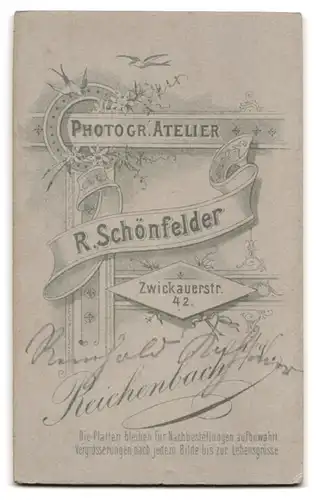 Fotografie R. Schönfelder, Reichenbach i. V., Zwickauerstr. 42, Junger eleganter Mann mit Schnurrbart