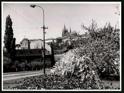 Fotografie unbekannter Fotograf, Ansicht Prag, Strassenansicht mit Veitsdom im Hintergrund