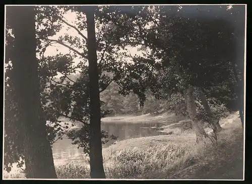 Fotografie F. Fischer, Naturidylle mit Flusslauf am Waldrand, Foto rechts unten signiert: F. Fischer