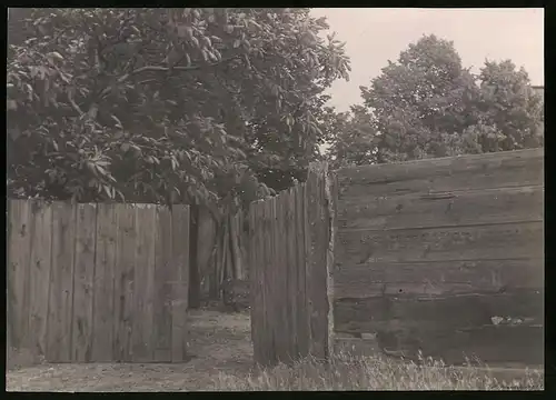 Fotografie F. Fischer, Bauerngehöft mit einem urigen Holzzaun, Foto rechts unten signiert: F. Fischer