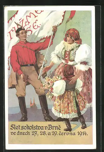 AK Brünn / Brno, Slet sokolsva v Brne 1914, Sokol Sportfest