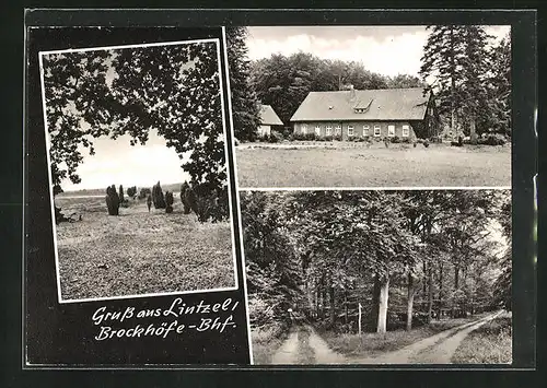 AK Lintzel /Lüneburger Heide, Brockhöfe-Bahnhof und Waldpartie