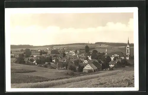 AK Milevsko, Panorama