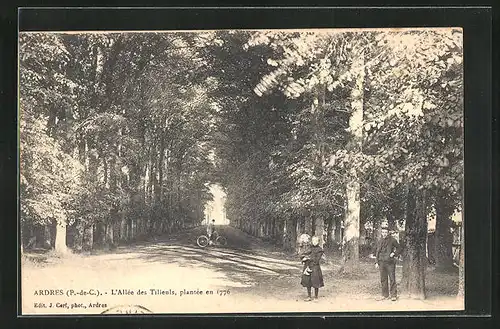 AK Ardres, L`Allée des Tilleuls