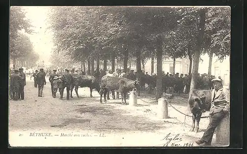 AK Béthune, Marché aux vaches