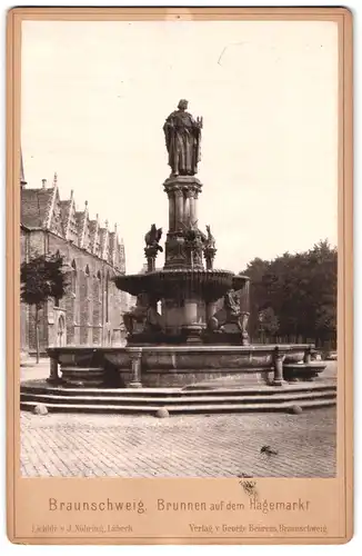 Fotografie J. Nöhring, Lübeck, Ansicht Braunschweig, Brunnen auf dem Hagemarkt, 1883