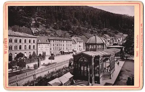 Fotografie Römmler & Jonas, Dresden, Ansicht Wildbad, Strassenpartie mit Trinkhalle