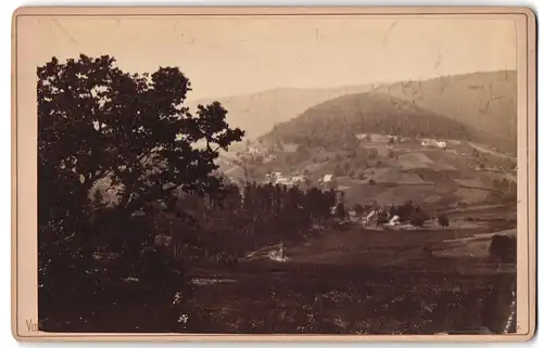 Fotografie Buchhandlung Fuchs, Zabern, Ansicht Wangenbourg-Engenthal, Teilansicht der Ortschaft