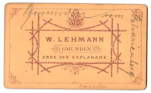 Fotografie W. Lehmann, Gmunden, Ende der Esplanade, Ansicht Gmunden, Ortspartie am See