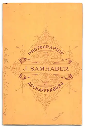 Fotografie J. Samhaber, Aschaffenburg, Ansicht Aschaffenburg, Schloss Johannisberg